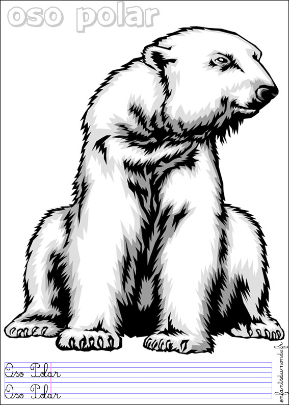 coloriage ours polaire 2 .. Coloriages Animaux du froid en espagnol